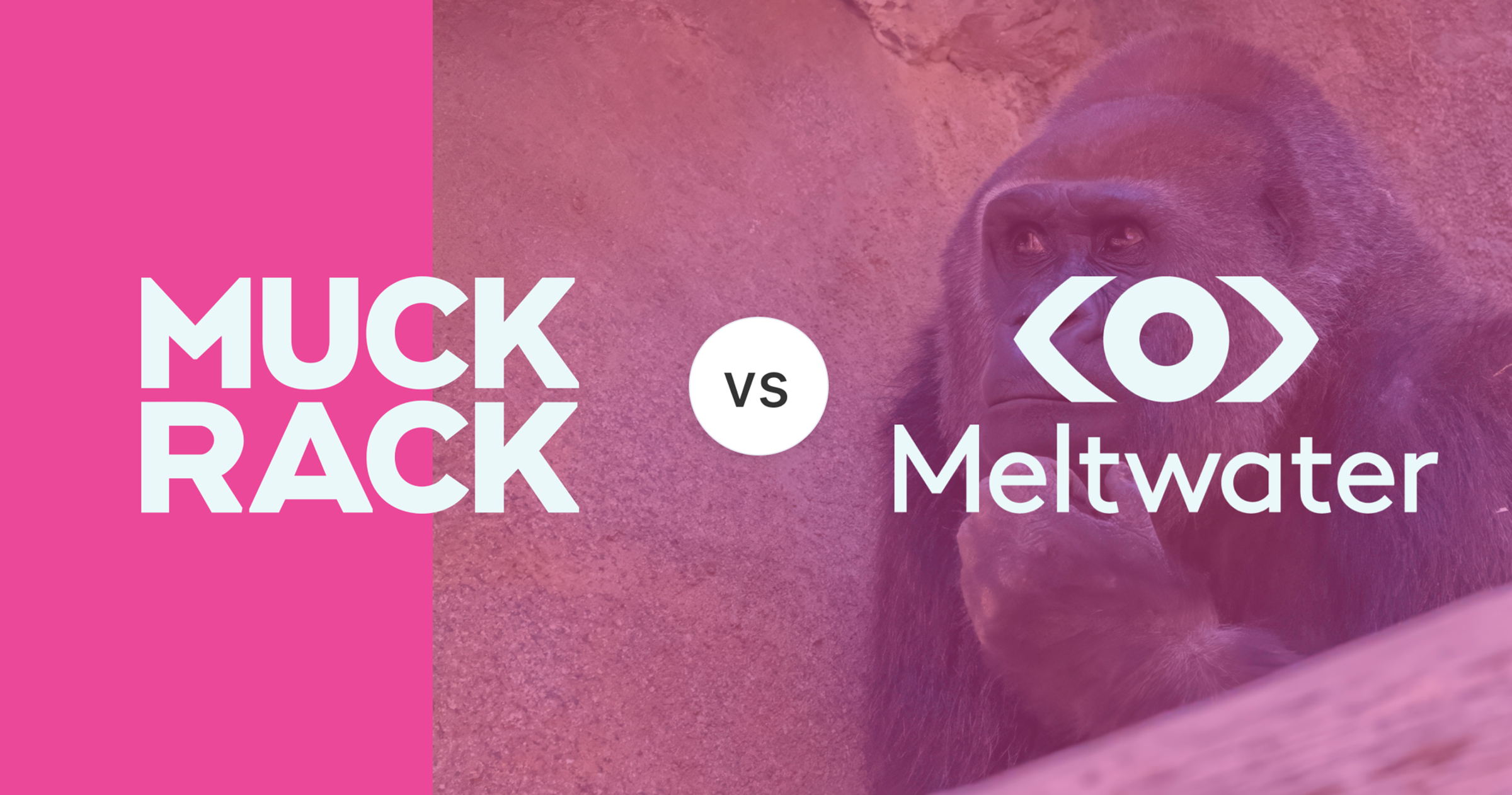 Muck Rack vs Meltwater: Which is Better? [2025 Guide]
